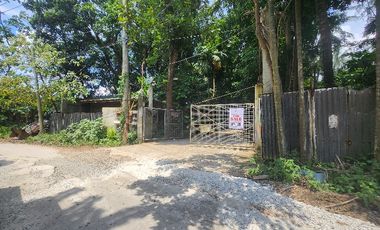 Farm Lot For Sale in Santo Tomas Batangas