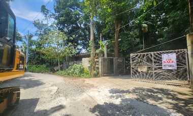 Farm Lot For Sale in Santo Tomas Batangas