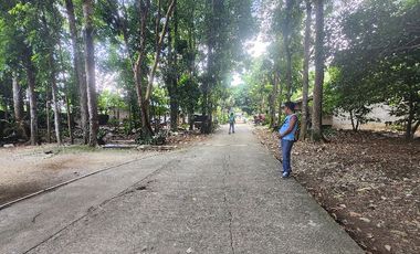Farm Lot For Sale in Santo Tomas Batangas