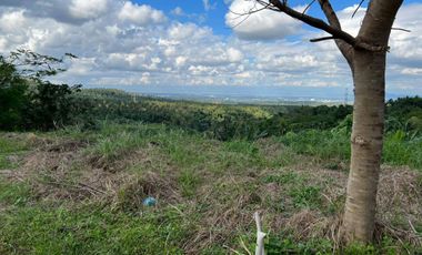 Lot with View Tagaytay Highlands Aspen Hills Residential Lot For Sale