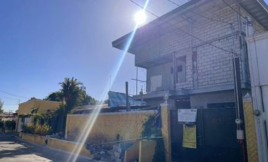 BF Home Brand New Two- Storey with swimming pool in Paranaque City for Sale