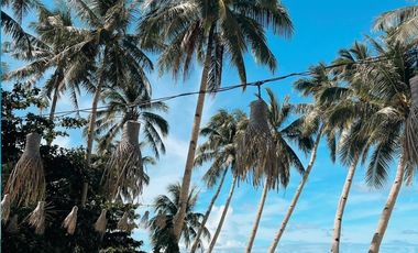 Own a Piece of SIARGAO | 608sqm Lot in Between GL and Catangnan Bridge