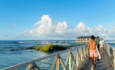 Own a Piece of SIARGAO | 608sqm Lot in Between GL and Catangnan Bridge