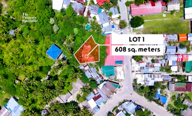 Own a Piece of SIARGAO | 608sqm Lot in Between GL and Catangnan Bridge
