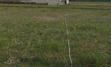Residential Plot for sale in Pangasinan, Villasis
