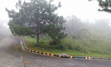 THE PINEWOODS Golf and Country Club Residential Estates