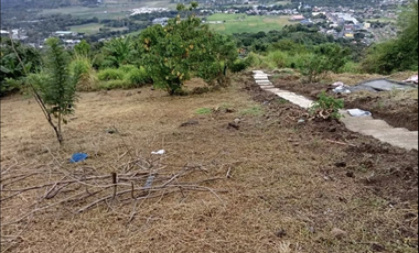 for sale antipolo ,rizal land for sale  cheapest 2.75 hectares (Teresa Rizal )