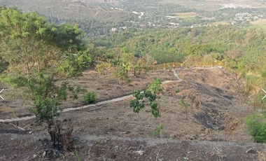 for sale antipolo ,rizal land for sale  cheapest 2.75 hectares (Teresa Rizal )