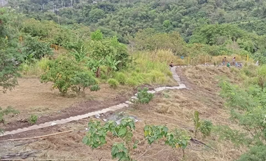 for sale antipolo ,rizal land for sale  cheapest 2.75 hectares (Teresa Rizal )