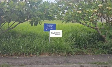 574 sqm Lot at Stonecrest San Pedro Laguna with Special Discount