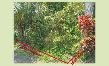 857 sqm lot in Pineridge, Tagaytay