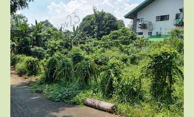 857 sqm lot in Pineridge, Tagaytay