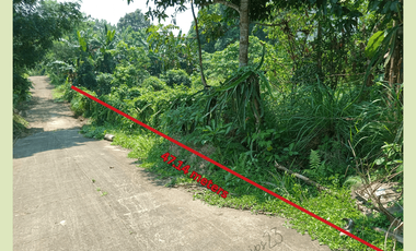 857 sqm lot in Pineridge, Tagaytay