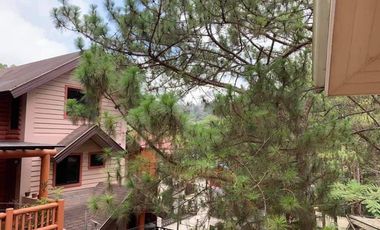 7 Bedroom House and Lot For Sale in Suello Village Baguio City