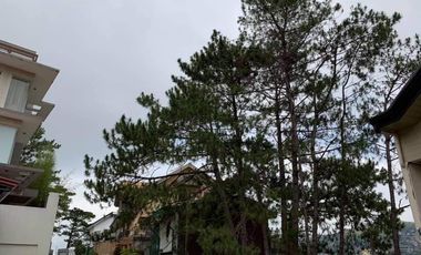 7 Bedroom House and Lot For Sale in Suello Village Baguio City