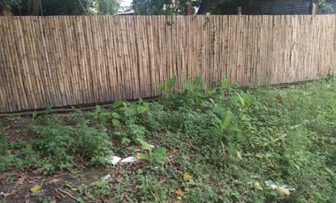 Prime Property Downtown Tacloban, Leyte For Sale Commercial Lot