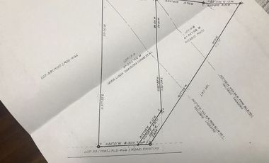 Prime Property Downtown Tacloban, Leyte For Sale Commercial Lot
