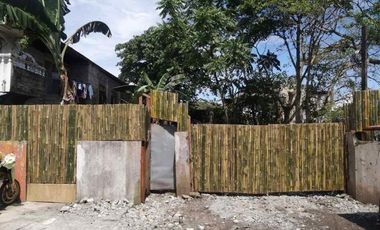 Prime Property Downtown Tacloban, Leyte For Sale Commercial Lot