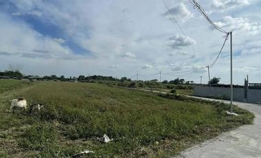 for sale lot in pampanga ideal for farm resort or resthouse near megadike