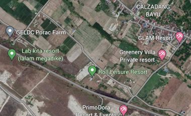 for sale lot in pampanga ideal for farm resort or resthouse near megadike