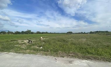 for sale lot in pampanga ideal for farm resort or resthouse near megadike