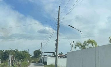 for sale lot in pampanga ideal for farm resort or resthouse near megadike