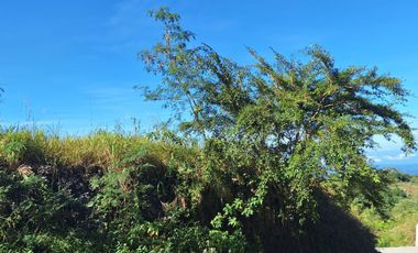 Metro Baguio - 518 SQM Prime Lot W/in a Private Subdivision the Pinewoods Corner Lot