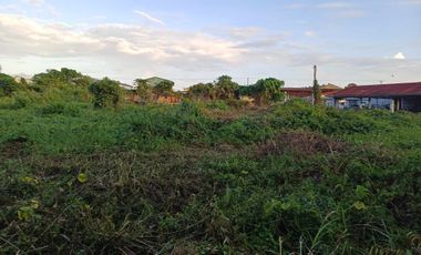 27,159 sqm Prime Commercial Lot For Sale in Barangay 77, Tacloban City, Leyte