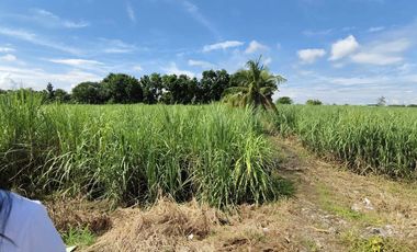 7,619sqm Commercial Lot for sale in Bacolod City