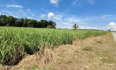 7,619sqm Commercial Lot for sale in Bacolod City