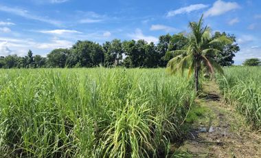 7,619sqm Commercial Lot for sale in Bacolod City