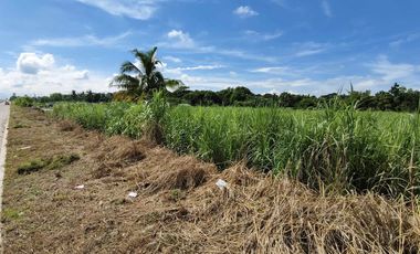 7,619sqm Commercial Lot for sale in Bacolod City
