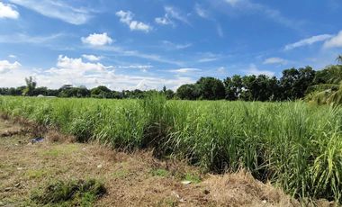 7,619sqm Commercial Lot for sale in Bacolod City