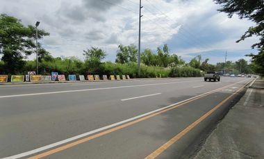 1.8 hectares Commercial Lot for sale in Bacolod City