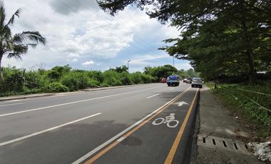1.8 hectares Commercial Lot for sale in Bacolod City
