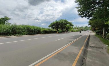 1.8 hectares Commercial Lot for sale in Bacolod City