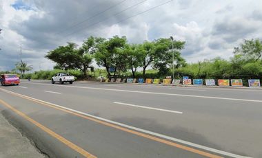 1.8 hectares Commercial Lot for sale in Bacolod City