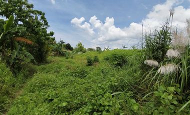1.9 hectares Commercial Lot for sale in Negros Occidental