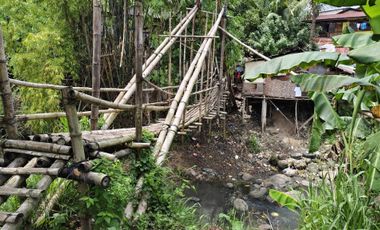 1.9 hectares Commercial Lot for sale in Negros Occidental