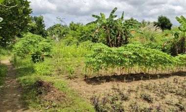 1.9 hectares Commercial Lot for sale in Negros Occidental