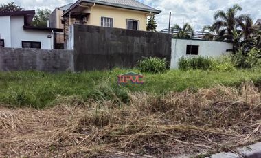 Vacant Lot for Sale at Southplains Executive Village Dasmarinas Cavite