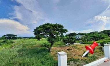 For Sale: 152 sqm Residential Lot in Holiday Park San Pedro, Laguna – Repriced!