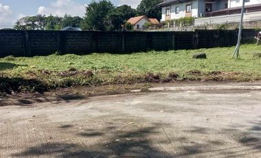 For Sale: 432 sqm Residential Lot in Buena Vista Subd. Mabalacat Pampanga