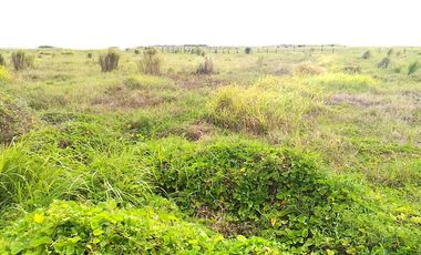 Industrial Lot near Airport NAIA Accessible to Trucks For Sale at Paranaque City