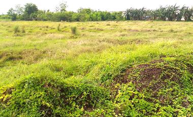 Industrial Lot near Airport NAIA Accessible to Trucks For Sale at Paranaque City