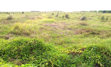 Industrial Lot near Airport NAIA Accessible to Trucks For Sale at Paranaque City