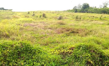 Industrial Lot near Airport NAIA Accessible to Trucks For Sale at Paranaque City