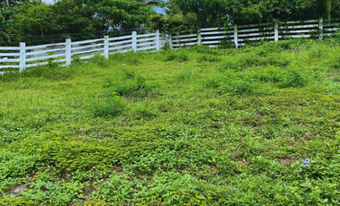 CatCove Residences Lot for sale in Catanauan Cove with Free Club Membership