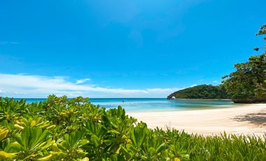 Commercial lot at Boracay Newcoast