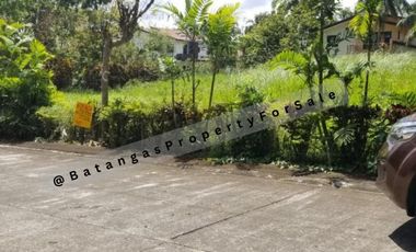 750 sqm, Lot For Sale Tierra Maria Estate, Lipa City